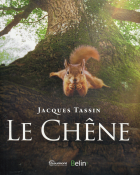 Image de couverture locale