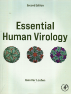 Image de couverture locale