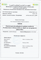Image de couverture locale