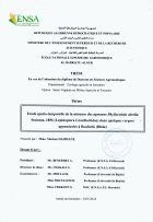 Image de couverture locale