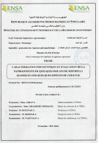 Image de couverture locale
