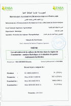 Image de couverture locale