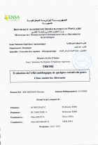 Image de couverture locale
