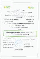 Image de couverture locale