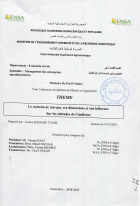 Image de couverture locale