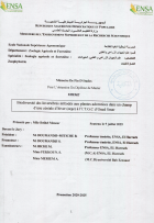 Image de couverture locale