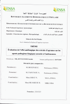 Image de couverture locale