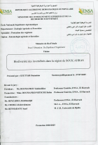 Image de couverture locale