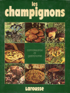 Image de couverture locale