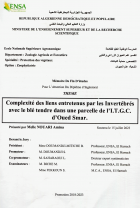 Image de couverture locale