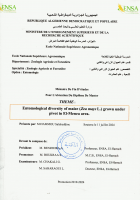 Image de couverture locale