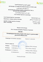 Image de couverture locale