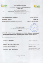 Image de couverture locale