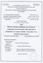 Image de couverture locale