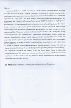 Image de couverture locale