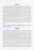 Image de couverture locale