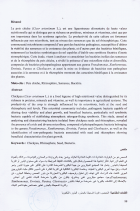 Image de couverture locale