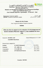 Image de couverture locale