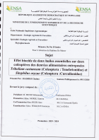 Image de couverture locale