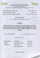 Image de couverture locale