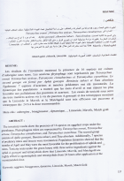 Image de couverture locale