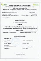 Image de couverture locale