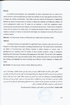 Image de couverture locale