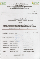 Image de couverture locale