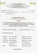 Image de couverture locale