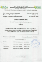 Image de couverture locale