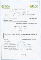 Image de couverture locale