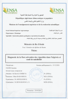 Image de couverture locale