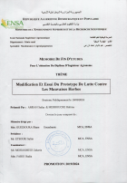 Image de couverture locale