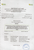 Image de couverture locale