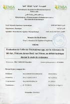 Image de couverture locale