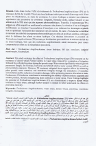 Image de couverture locale