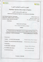 Image de couverture locale