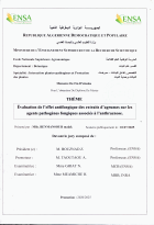 Image de couverture locale