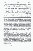 Image de couverture locale