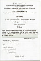 Image de couverture locale