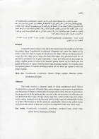 Image de couverture locale