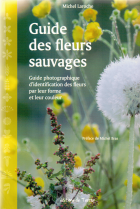 Image de couverture locale