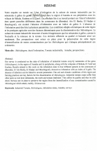 Image de couverture locale