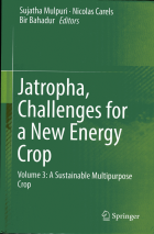 Jatropha, challenges for a new energy crop